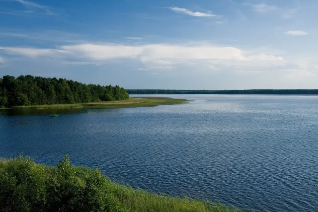 Озеро Мястро: вода, зелёный берег и лесистый мыс.